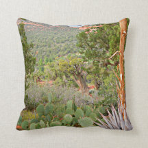 Escena del desierto, Sedona, naturaleza, cactus,