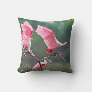 Cojín Decorativo Espátulas rosadas (Ajaia Ajaja) aterrizando