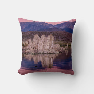 Cojín Decorativo Espectacular Lago Mono A La Sombra