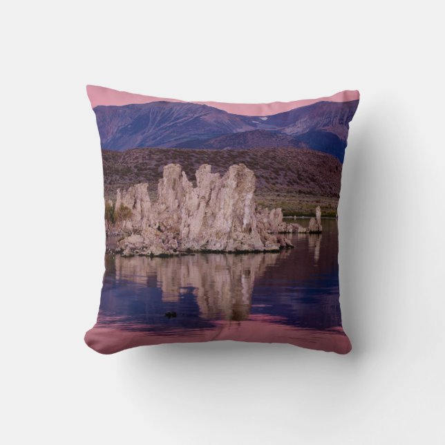 Cojín Decorativo Espectacular Lago Mono A La Sombra (Anverso)