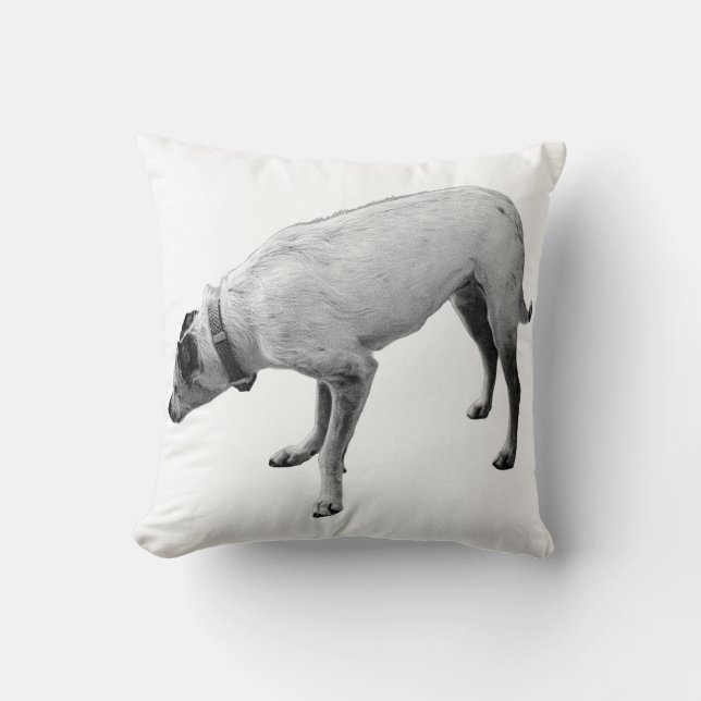 Cojín Decorativo Espíritu de alerta de caída (Anverso)