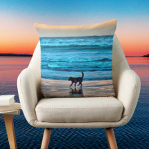 Esplandor de perro en Sunset Beach Simulando Acuar