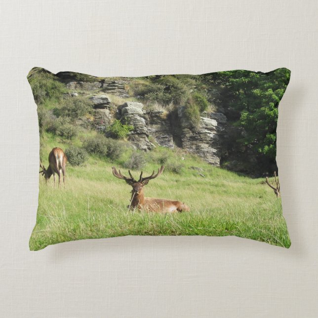 Cojín Decorativo Estadios de Nueva Zelanda (Anverso)