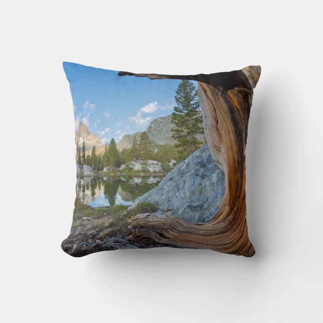 Cojín Decorativo Estados Unidos, California, Bosque Nacional Inyo.  (Anverso)
