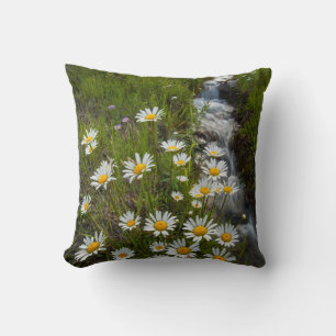 Cojín Decorativo Estados Unidos, Colorado, Montañas San Juan.Daisie