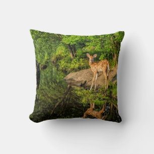 Cojín Decorativo Estados Unidos, Minnesota, Sandstone, Vida silvest