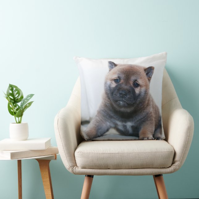 Cojín Decorativo Este es un precioso cachorro Akita, Pillow (Silla)