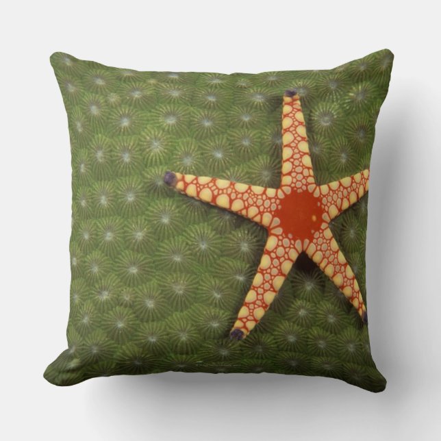 Cojín Decorativo Estrella de mar (Anverso)