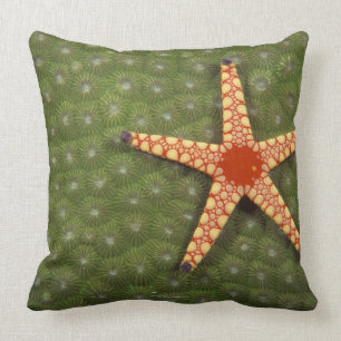 Cojín Decorativo Estrella de mar