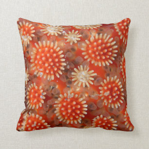 Cojín Decorativo Estrella de mar macra