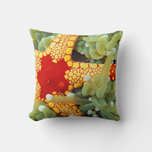 Cojín Decorativo Estrella de mar roja y amarilla