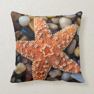 Cojín Decorativo Estrellas de mar en rocas