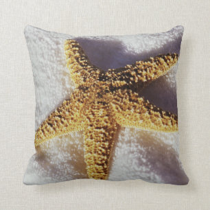 Cojín Decorativo Estrellas de mar en una toalla