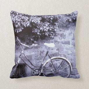 Cojín Decorativo Europa, Alemania, Baden, Wurttemberg, Heidelberg.2