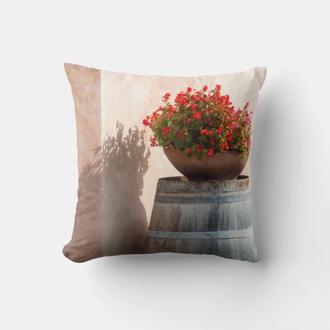 Cojín Decorativo Europa, Italia, Toscana. Pozo de abono (Anverso)