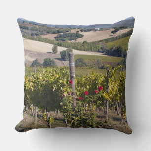 Cojín Decorativo Europa, Italia, Umbría, cerca de Montefalco, Viñed