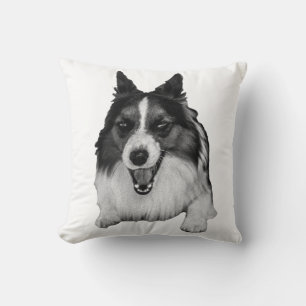 Cojín Decorativo Évergreen Sofa Accent