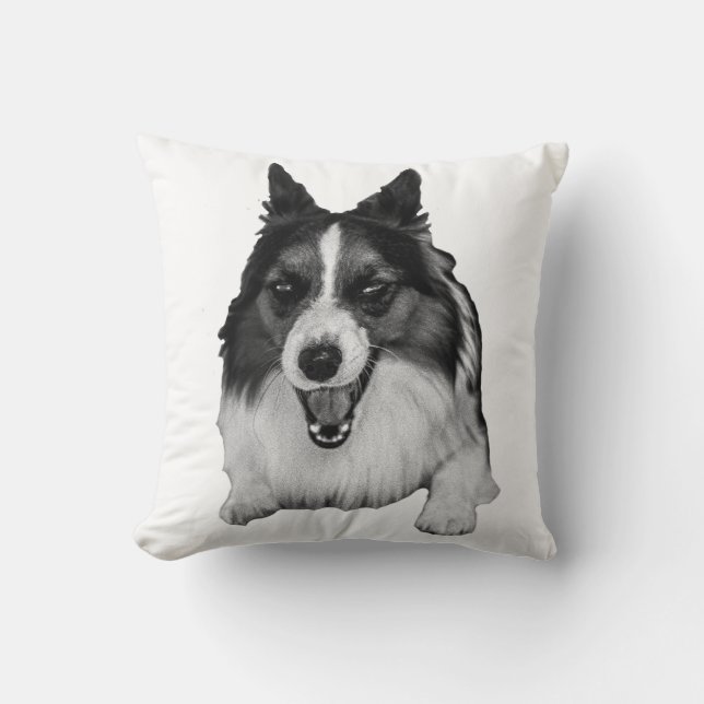 Cojín Decorativo Évergreen Sofa Accent (Anverso)