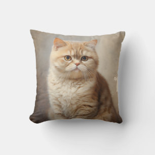 Cojín Decorativo Exótico Shorthair cat