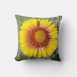 Cojín Decorativo F17b Flor silvestre amarilla Gaillardia