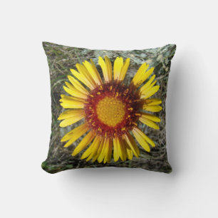 Cojín Decorativo F1 Flor Silvestre Amarilla Gaillardia