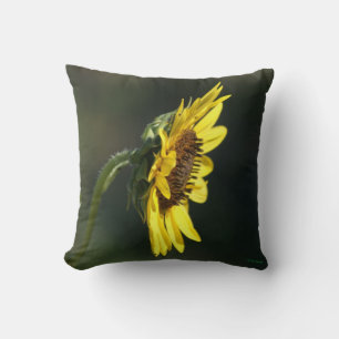 Cojín Decorativo F43 Flor Amarilla Silvestre Susán de Ojos Negros