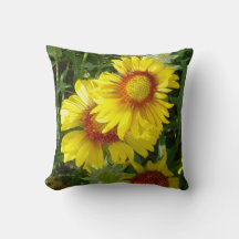 F6 Flores silvestres amarillas Gaillardia