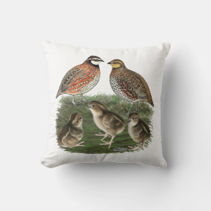 Cojín Decorativo Familia de codornices Bobwhite