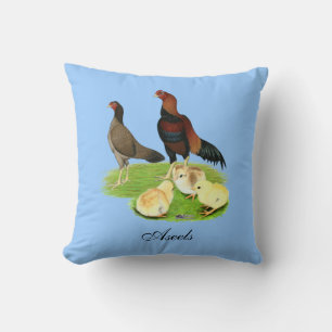 Cojín Decorativo Familia de pollo Aseel Wheaten