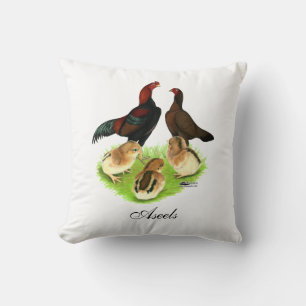 Cojín Decorativo Familia de pollos Aseel Black Red