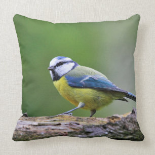 Cojín Decorativo Fauna de los animales del pájaro del Tit azul