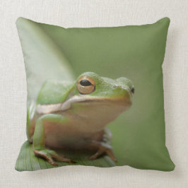 Cojín Decorativo Fauna decorativa de la rana arbórea verde linda
