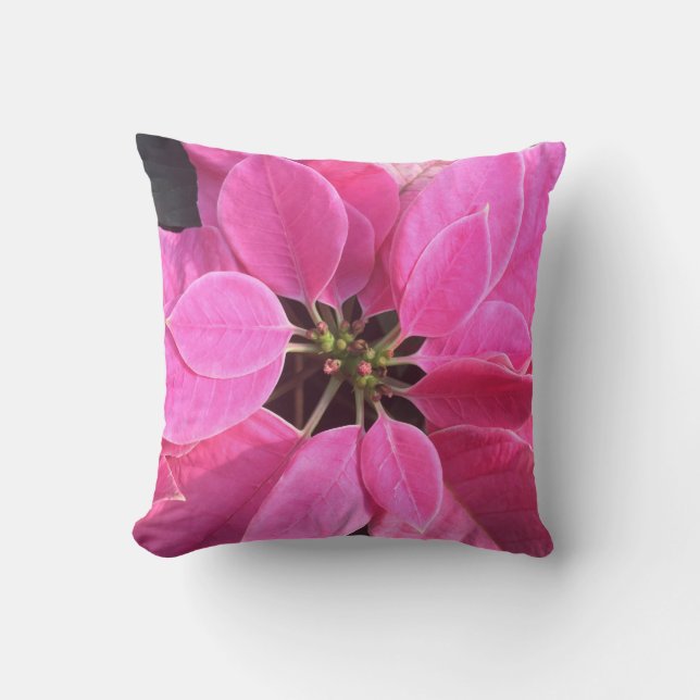 Cojín Decorativo Felices fiestas Poinsettia (Anverso)