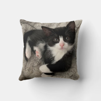 Cojín Decorativo Felicidad Kitten Pillow