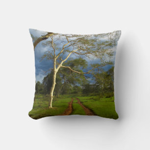 Cojín Decorativo Fever Tree (Acacia Xanthophloea) Por Dirt Track