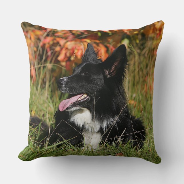 Cojín Decorativo Fijación del jadeo del border collie (Anverso)