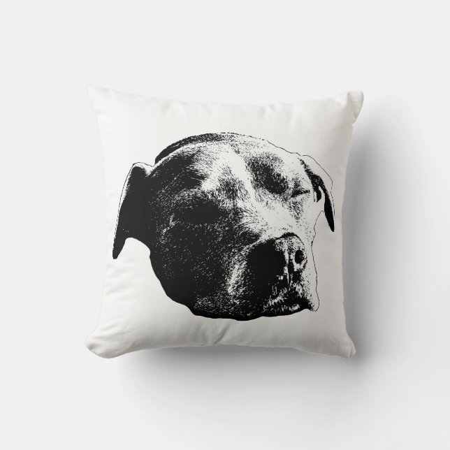 Cojín Decorativo Fireside Daydream (Anverso)