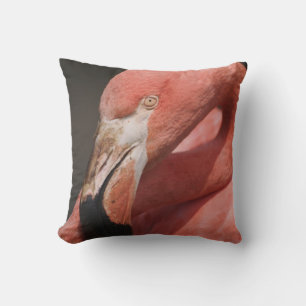Cojín Decorativo Flamenco Chileno, Phoenicopterus chilensis