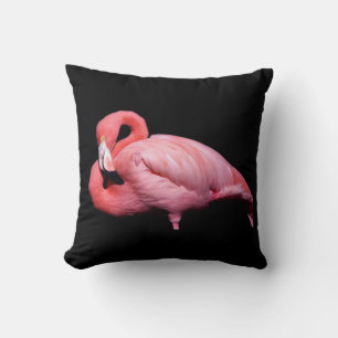 Cojín Decorativo Flamenco Rosa sobre Negro