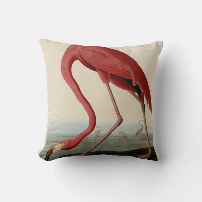 Cojín Decorativo Flamingo americano de los pájaros de los Estados U (Anverso)