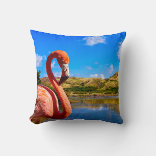Cojín Decorativo Flamingo caribeño en St Kitts