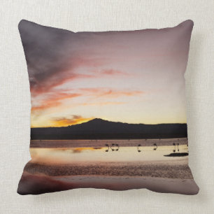 Cojín Decorativo Flamingo chileno