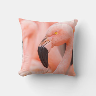 Cojín Decorativo Flamingo chileno (Phoenicopterus chilensis), con 