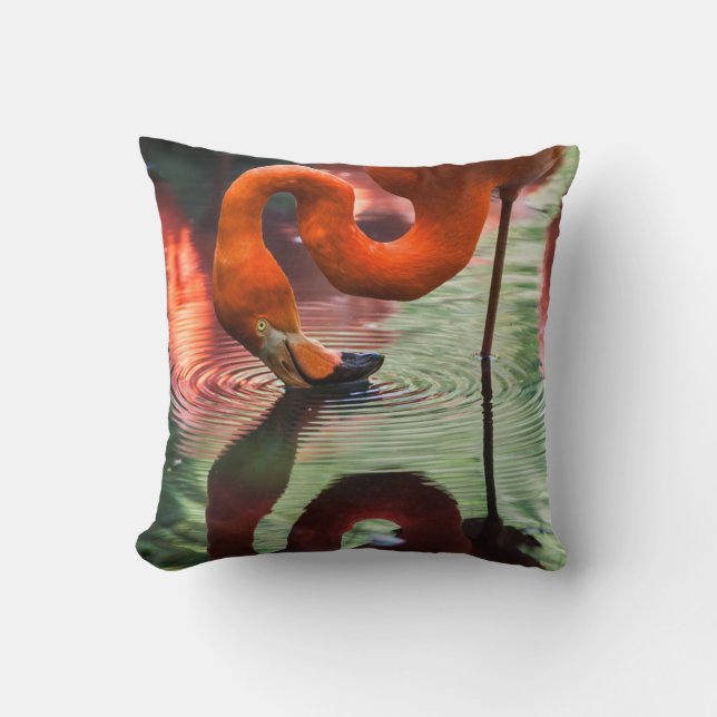 COJÍN DECORATIVO FLAMINGO DE ROPA (Anverso)