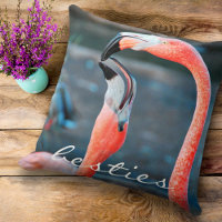Flamingos rosados Foto Bestis Script Audaz Moderno