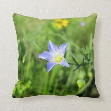 Flor azul salvaje del lino