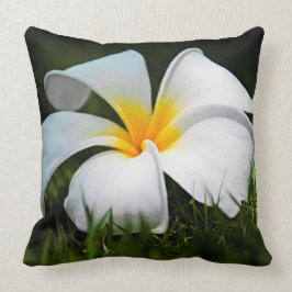 Cojín Decorativo Flor blanca de Hawaii del Frangipani del Plumeria