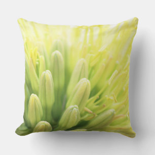 Cojín Decorativo Flor brillante de verano agave
