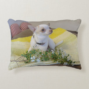 Cojín Decorativo Flor Chihuahua Acento Pillow