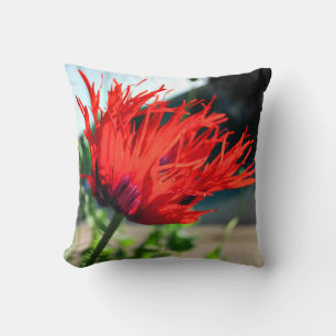 Cojín Decorativo Flor de amapola roja brillante